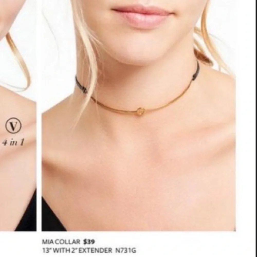 :: Stella & Dot Gorgeously Delicate Mia Gold+Leather Choker - Picture 7 of 9